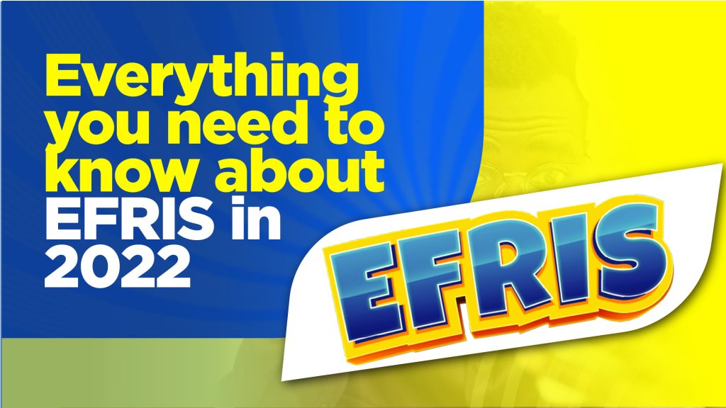 Everything You Need to Know About EFRIS